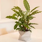 Alfama Modern Two-bedroom W/ River View And Parking - By Lu Holidays شقة *