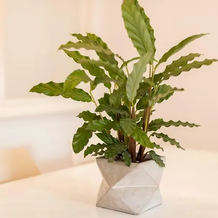 Alfama Modern Two-bedroom W/ River View And Parking - By Lu Holidays Apartamento *